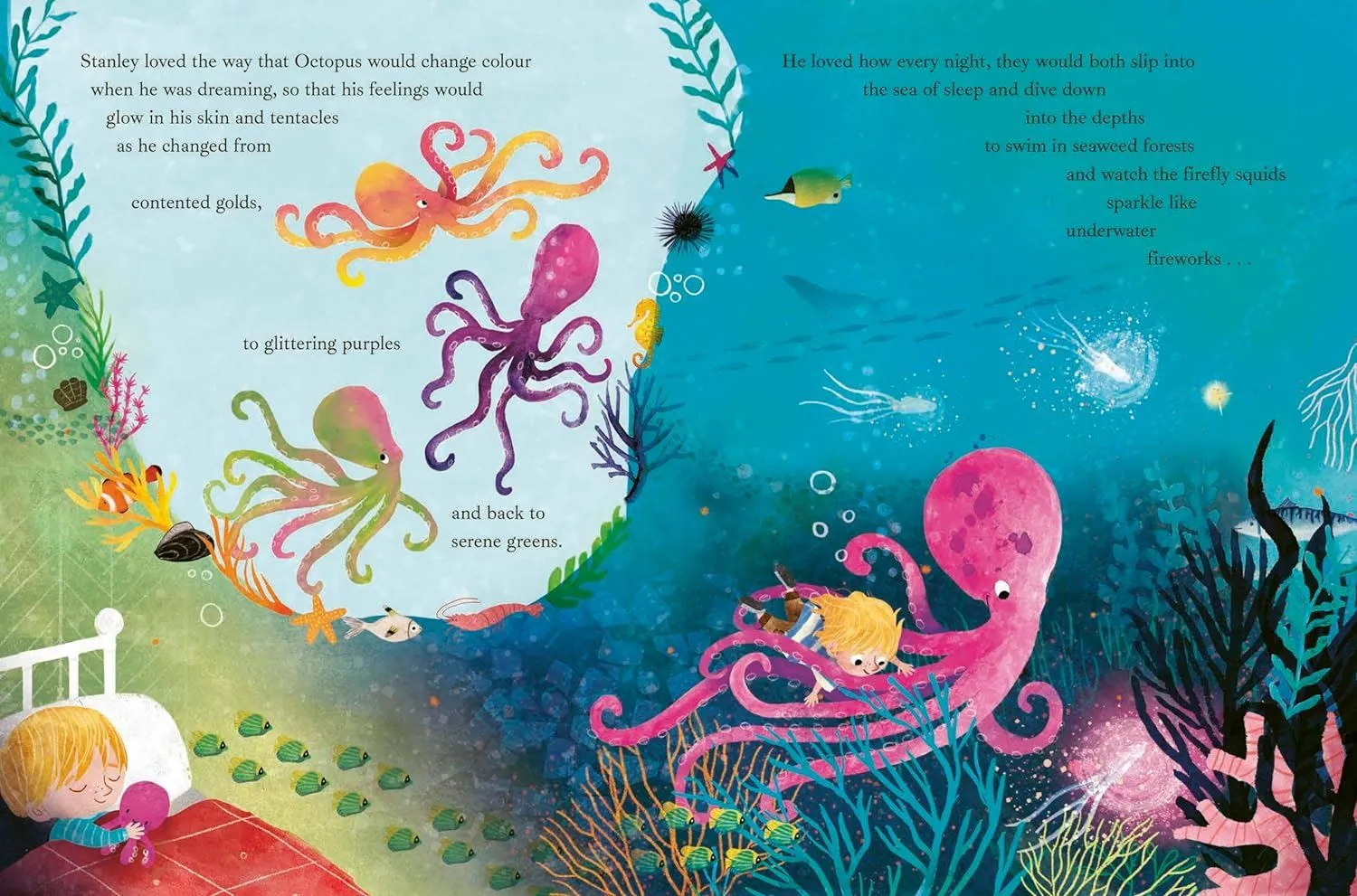 Book - Boy And The Octopus