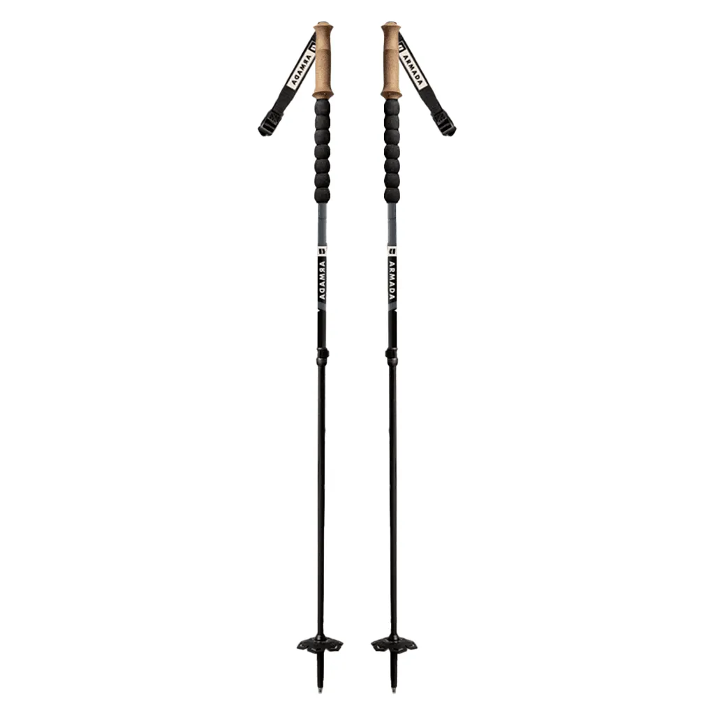 Carbon adjustable poles - Indigo / Black