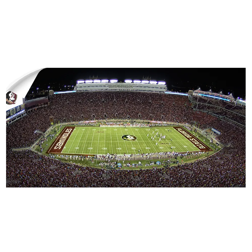 Florida State Seminoles - Doak Panoramic